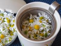 Click to see how to make chamomile tea