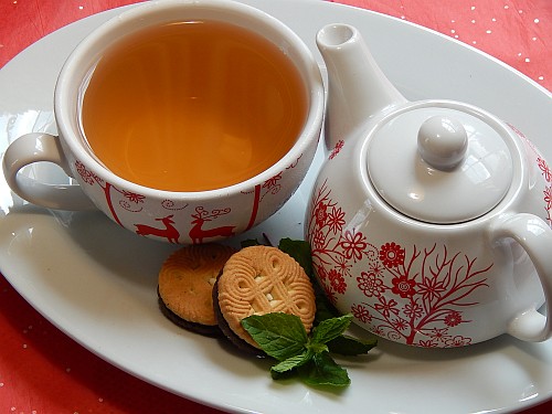 Freshly brewed mint herbal tea