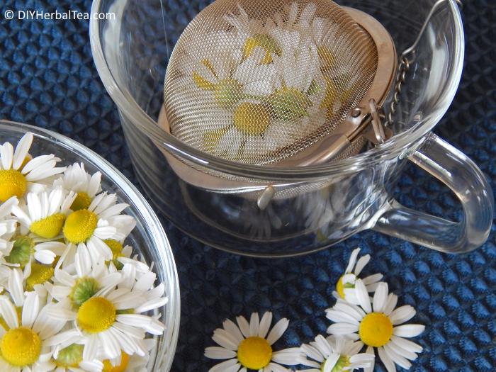 How to Make Chamomile Tea From Your Own Garden